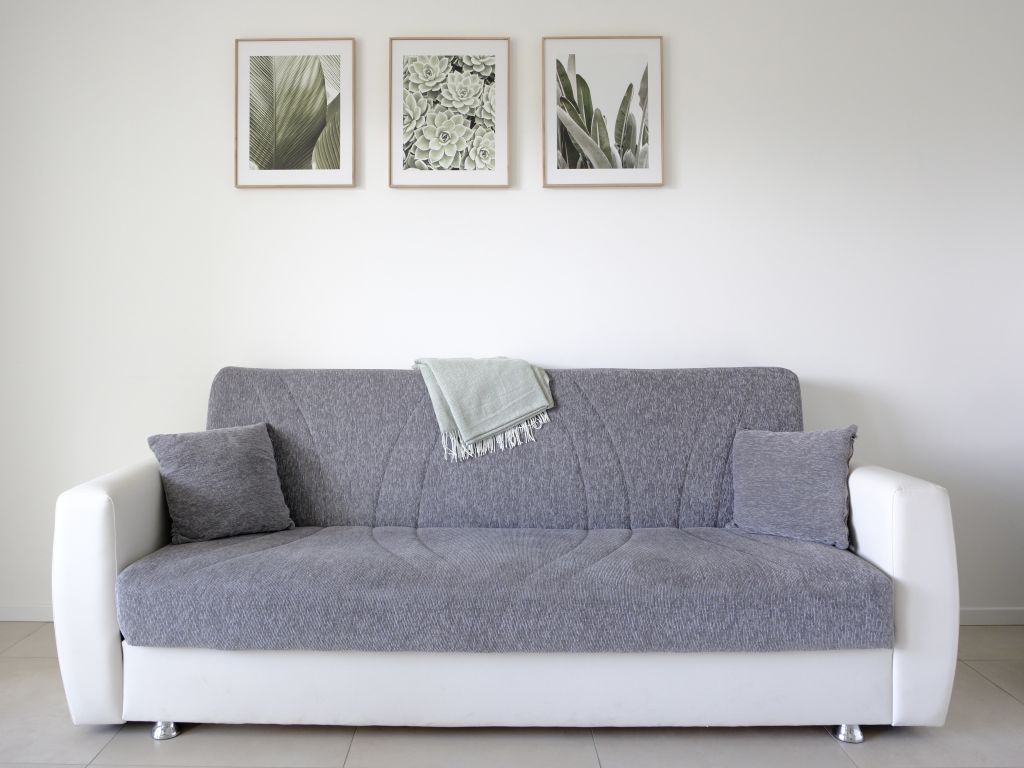 Divano grigio con cuscini e coperta davanti a parete bianca con tre quadri botanici