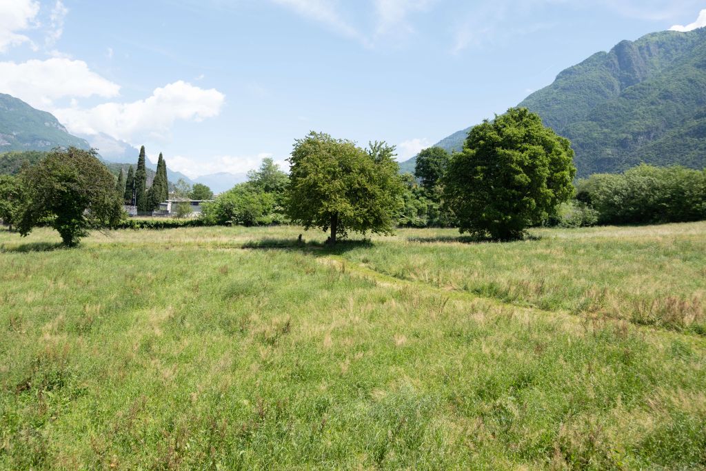 Prato verde con alberi e montagne sullo sfondo sotto un cielo azzurro con qualche nuvola
